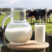 Скорректированы перечни продуктов, облагаемых НДС по ставке 10%