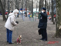 В Подмосковье ввели штрафы за нарушение правил выгула собак