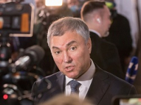 Мать Вячеслава Володина задолжала налоговой службе