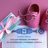Минтруд России предлагает расширить правила получения отцами материнского капитала