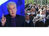 "Почему Собянин ещё на свободе?" россияне взывают к Путину после слов мэра о ситуации
