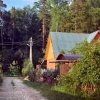 ФНС России рассказала о порядке исчисления налога с земель общего пользования СНТ