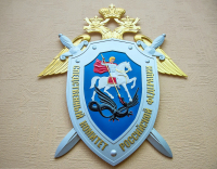 Похитителю школьницы на Алтае предъявлено обвинение