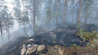 Суточный прирост возгораний — как четыре Москвы