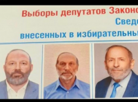 «А какой Вишневский сегодня ты?»: в Петербурге прошел флешмоб кандидатов-клонов