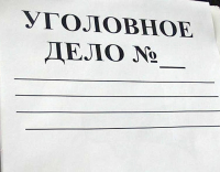 На врио начальника ИВС в Истре после побега заключенных завели дело