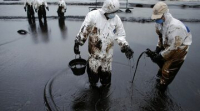 Черное море захлебнулось нефтью: КТК пытается найти помощь у экологов и власти