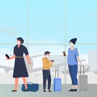 Законопроект о введении QR-кодов на транспорте снят с рассмотрения