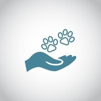 В Госдуме разработают поправки для решения проблемы нападения бездомных собак на людей