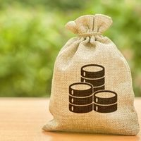 Целевые субсидии: особенности заключения договора, порядок предоставления, правила открытия лицевых счетов на их получение