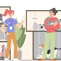 Приюты животных могут отнести к объектам соглашения о ГЧП