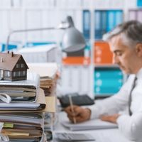Для бизнеса на Курилах введен льготный налоговый режим