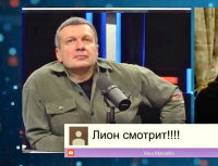«Сделайте прививку от бешенства»: уральцы требуют наказать Соловьева за оскорбления