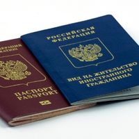 Для иностранных IT-специалистов планируется упростить процедуру получения вида на жительство