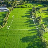 Упрощена процедура предоставления земельных участков предпринимателям-импортерам