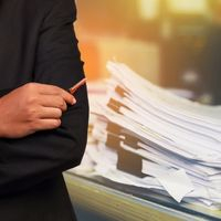 Определен порядок заполнения декларации по прибыли при наличии подразделений на федеральной территории "Сириус"
