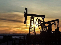 Зеленский заявил о планах Украины приостановить экспорт газа и угля
