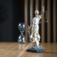 Могут ли специалисты, не указанные в решении о проведении проверки, в ней участвовать?