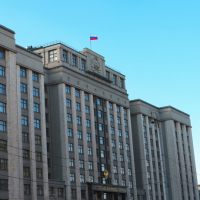 Госдума приняла в 1 чтении поправки о запрете на пропаганду чайлдфри