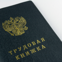 Минтруд России напомнил правила исправления ошибок в трудовой книже