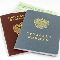 Депутаты предложили закрепить приоритет трудоустройства граждан России в ТК РФ