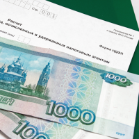 В России стартовала декларационная кампания по НДФЛ за 2024 год